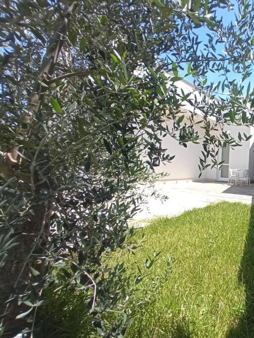 Appartamento Mama Relax 2 A Un Passo Dal Mare Con Piscina Cursi Esterno foto